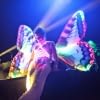 Butterfly Walk Act