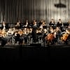 orchester1_web
