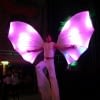 LED Butterfly